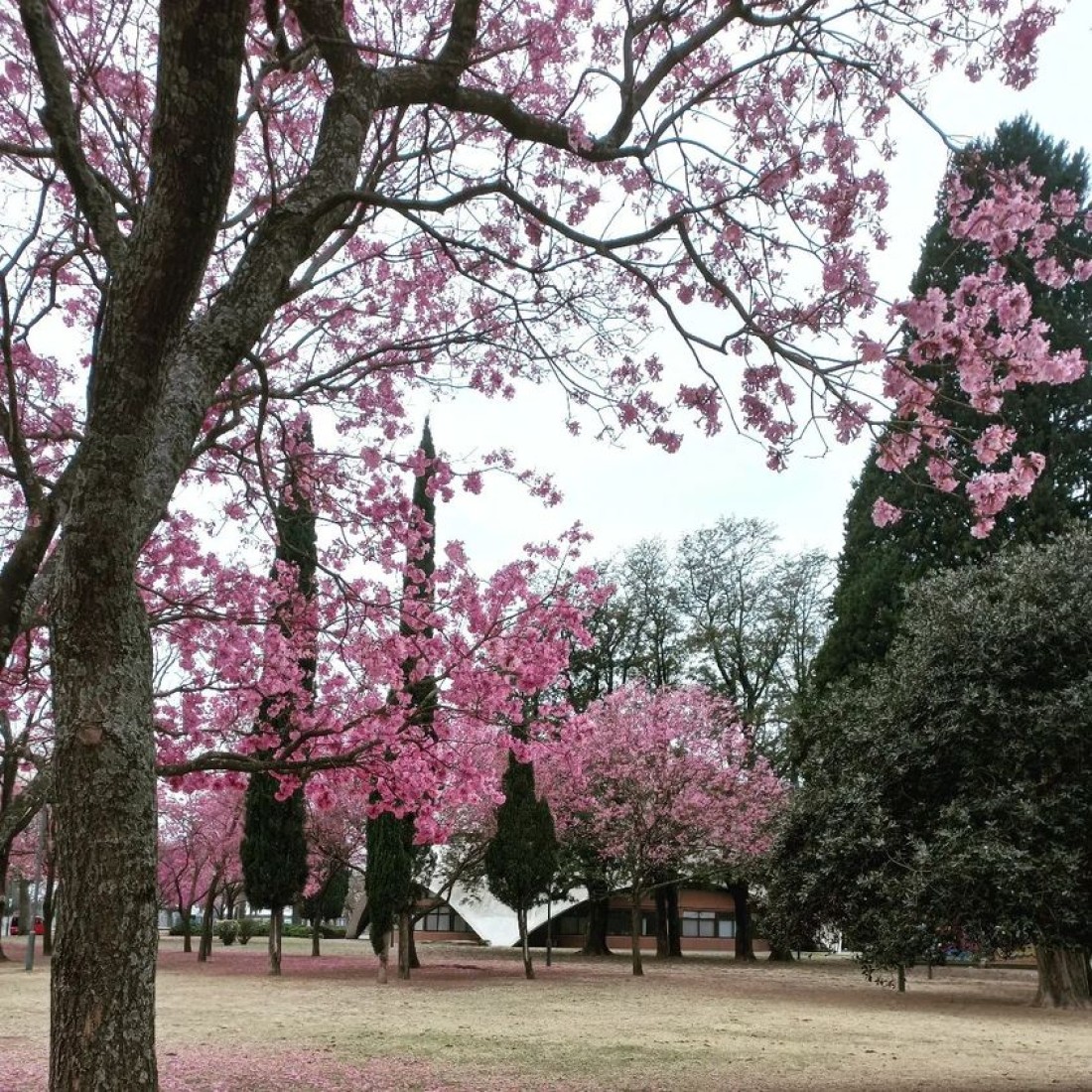 Equinoccio de Primavera 2022 - 0